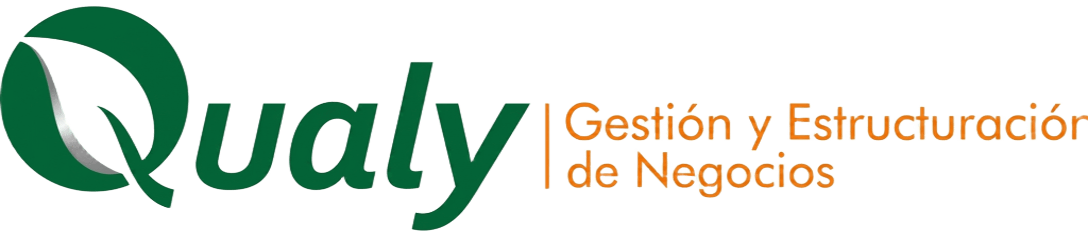 QUALY Logo